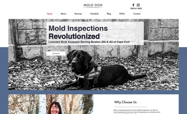 Mold Dog of Massachusetts: The Mold Dog of Massachusetts website has been designed to showcase their expertise in mold assessment services while providing an easy, user-friendly experience for their customers. Our team optimized the site's SEO to improve visibility and attract more traffic from local searches for mold services across Boston, MA, and Cape Cod.

We also helped with video production and promotion for the service video now featured on the site, which highlights their process and services, providing potential customers with a clearer understanding of what to expect.

With clear, actionable calls-to-action like “Get a Quote” and “Schedule a Service,” visitors can easily engage with the services offered. The site’s structure focuses on presenting the various mold inspection services, from residential homes to office spaces, including regular mold checks and pre/post remediation. The easy navigation and intuitive design ensure visitors can quickly access the information they need.

By focusing on SEO and visually dynamic service videos, we’ve helped Mold Dog of Massachusetts create a more engaging, informative, and functional online presence.