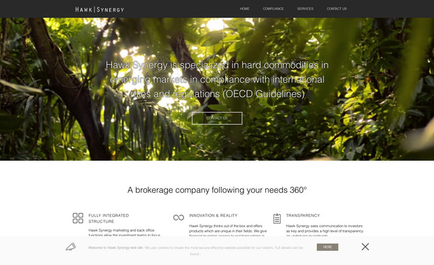 Hawk | Synergy: undefined