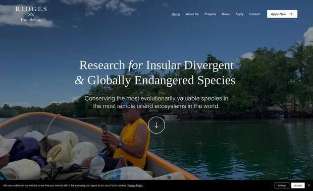 RIDGES Foundation: undefined