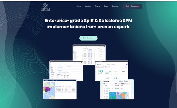 Incentive Partners: undefined