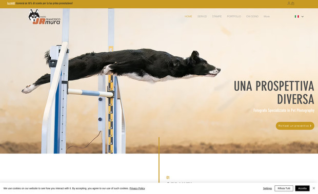 Francesco Jr Mura: Design Sito
