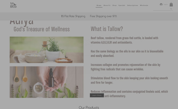 Adiya Gods Treasure: Redesigned the complete site