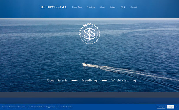 See Through Sea: See Through Sea is a conscious tourism group in Kona, Hawaii who lead one-in-a-lifetime animal encounters. The group had already paid for Wix Basic so we decided to stay on that platform for now and will migrate to Wix Studio in the future. In the design, I wanted people to feel immersed in the ocean. 