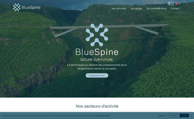 BLUESPINE: undefined