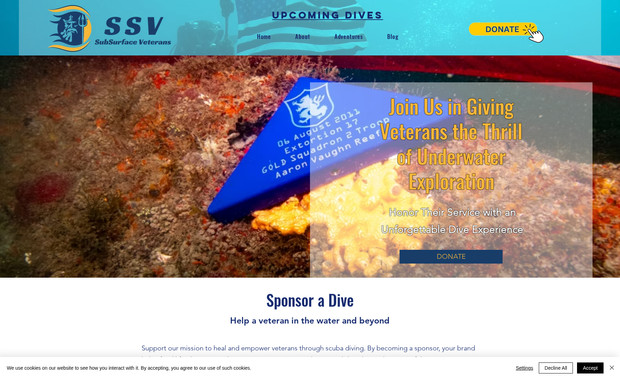 Subsurface Veterans: undefined