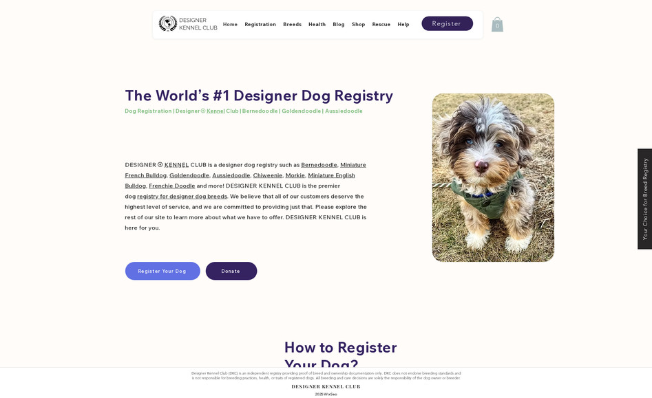 Designer Kennel Club: DESIGNER KENNEL CLUB is a designer dog registry such as Bernedoodle, Miniature French Bulldog, Goldendoodle, Aussiedoodle, Chiweenie, Morkie, Miniature English Bulldog, Frenchie Doodle and more! DESIGNER KENNEL CLUB is the premier dog registry for designer dog breeds. We believe that all of our customers deserve the highest level of service, and we are committed to providing just that. Please explore the rest of our site to learn more about what we have to offer. DESIGNER KENNEL CLUB is here for you.