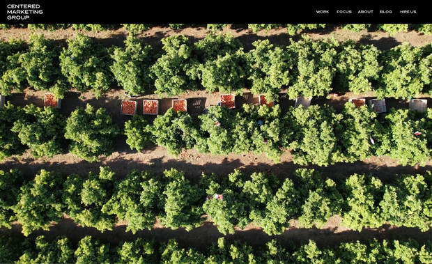 Centered Marketing: Built a custom website for our company, Centered Marketing Group.