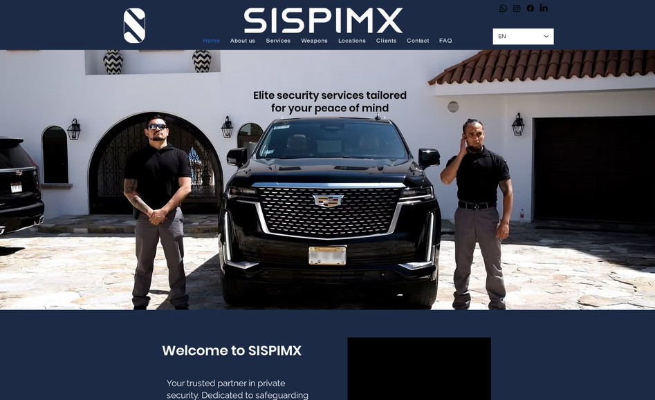 SISPIMX: Design Website