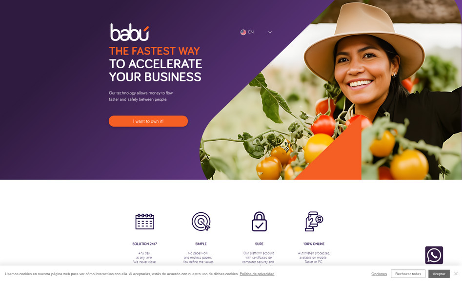 Babú: WebFlex básica. Bolivia.