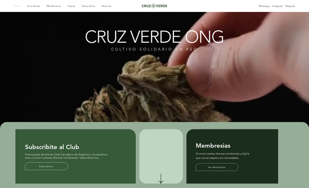 Cruz Verde: Wix Studio Web Design