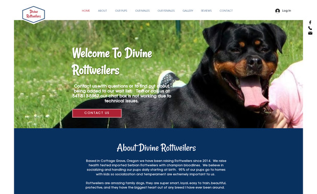 Divine Rottweilers: 