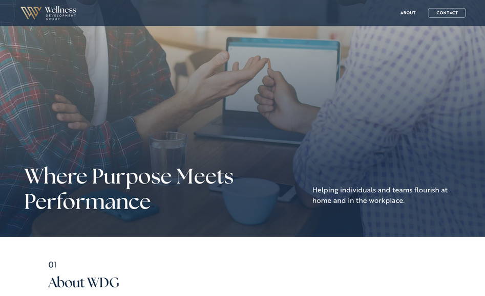 Wellness Development Group (Consulting): 