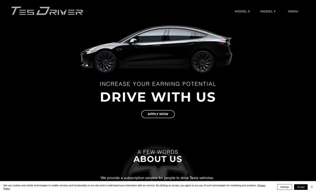 TesDriver: Full website design