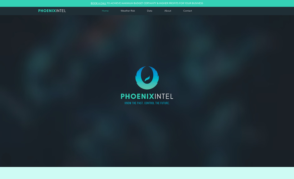 Phoenix Intel: Web design, SEO, information architecture, all copy, brand strategy, brand identity