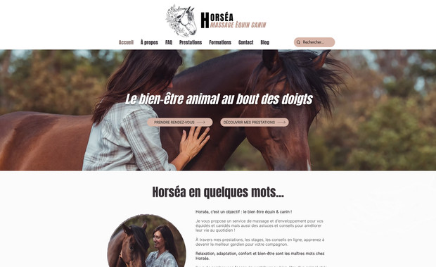 Horsea: Refonte du site et amélioration de la mise en page