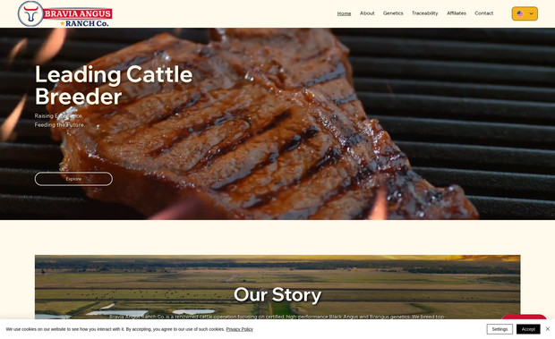 Bravia Angus Ranch: 
