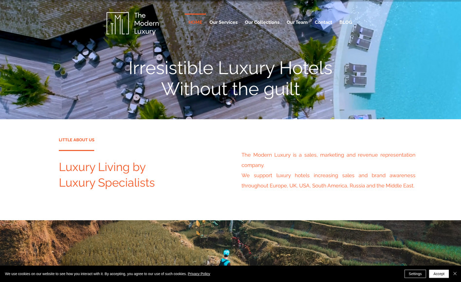 The Modern Luxury: undefined