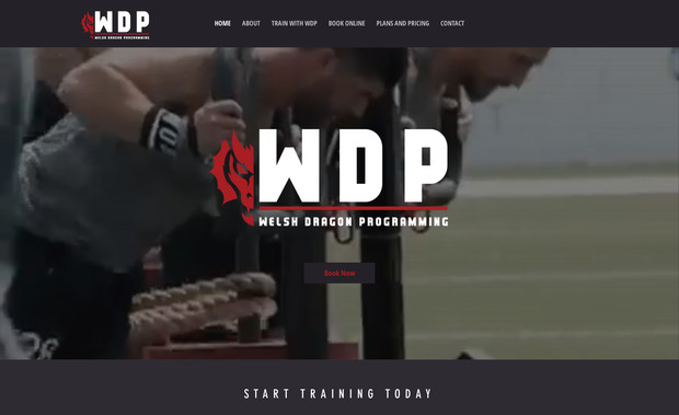 Welsh Dragon Program: 