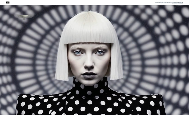 POLKA DOT STUDIO: Modern. Minimalistic. Futuristic Portfolio Predesign.