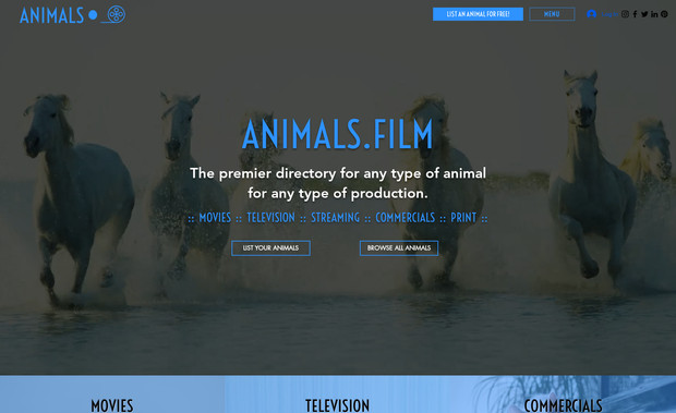 Animals.Film: Full platform design and development. 