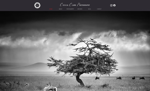 Cecilia Clark Photography: Website Redesign
