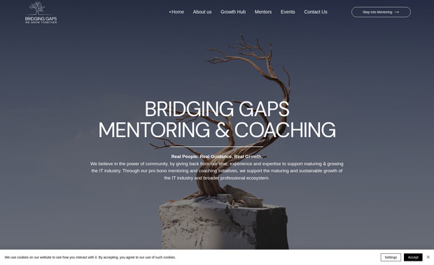BRIDGING GAPS: undefined