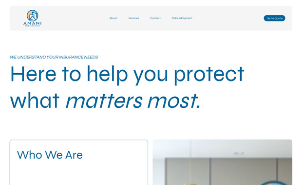 Amani Insurance: undefined