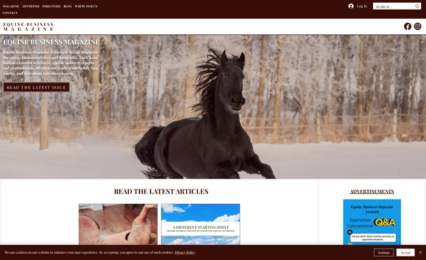 Equine Business Magazine: Equine Business Magazine's website has a directory and blog for equine businesses. 

This website ranks well on Google, and is a helpful resource for equine businesses across the USA.