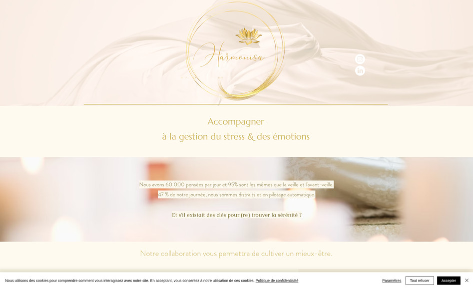 Harmonisa: Création du site internet 