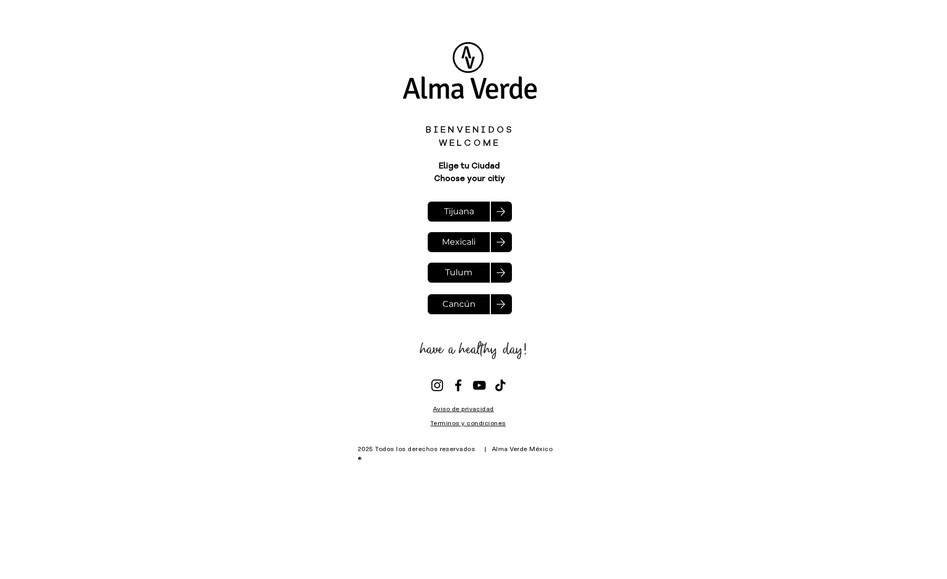 Alma Verde: Diseño de logotipo y creacion de pagina web 