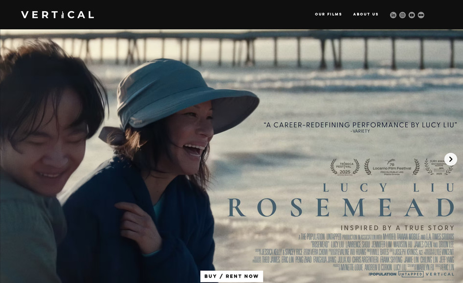 Vertical Ent: Website maintenance and updates.