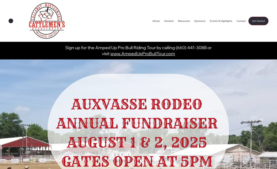 auxvasserodeo: Website Creation