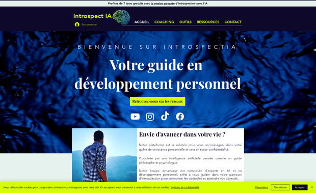Introspectia: Site client