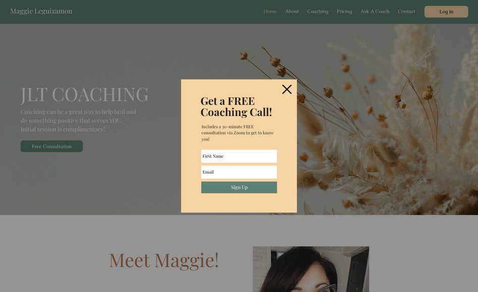 JLT Coaching: Life Coach/Mentor