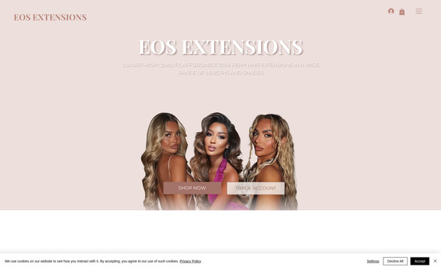 EOS EXTENSIONS: I designed an e-commerce website for my client, she wanted it to be clean but girly. It has a shop feature and we also connected pay later options! This is my favourite website I have designed so far!