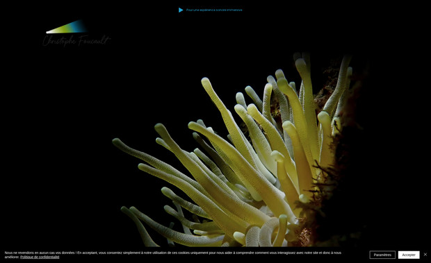 Christophe Foucault: Photographe en plongée sous marine nocture : Logo site internet et identité graphique