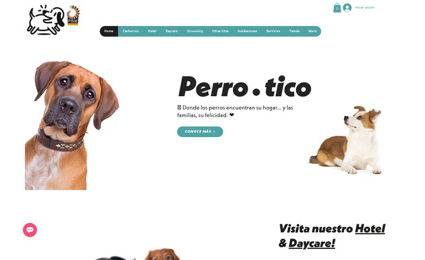 Perro•Tico: Web Desing