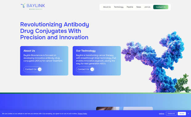 Baylink: Création de site pour cette start-up américaine dans le secteur des biotechnologies