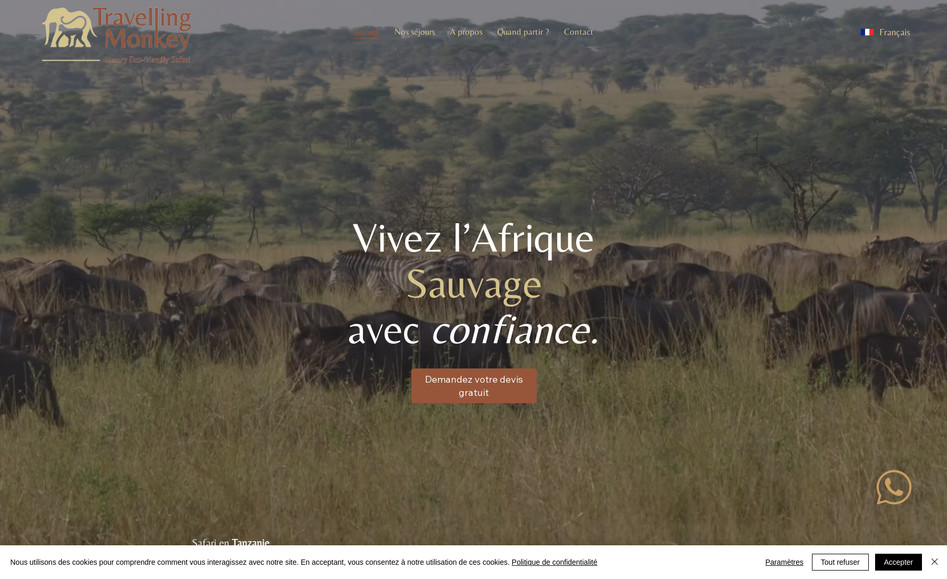 Travelling Monkey: WIX STUDIO : Création d'un site web sur mesure pour une agence de voyage premium, d'organisation de safari de luxe en tanzanie.