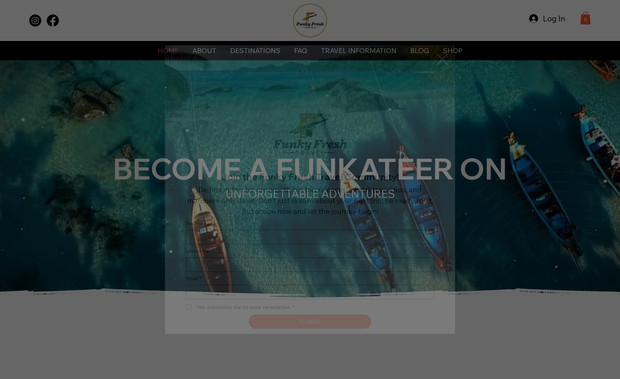 Funky Fresh Travel: Digital Stylz designed a 10–12 page custom travel website for Funky Fresh Travel, showcasing their services and destinations with a user-friendly layout.







