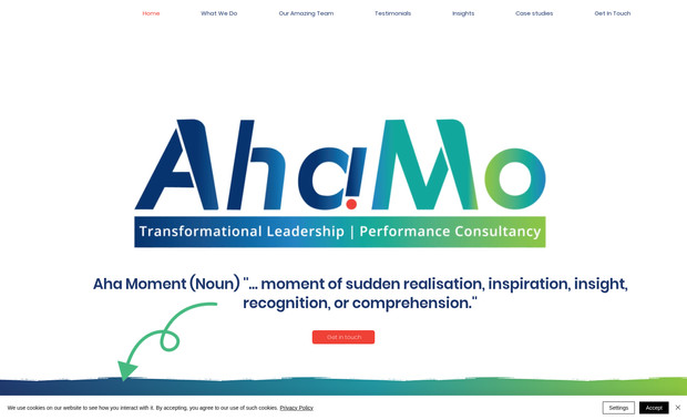 AhaMo Group Ltd: Website design and build in Wix Studio.
