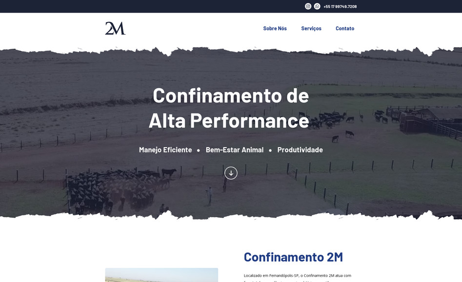 Confinamento 2m: Criação de site para empresa de confinamento de gado em São Paulo/Brasil.