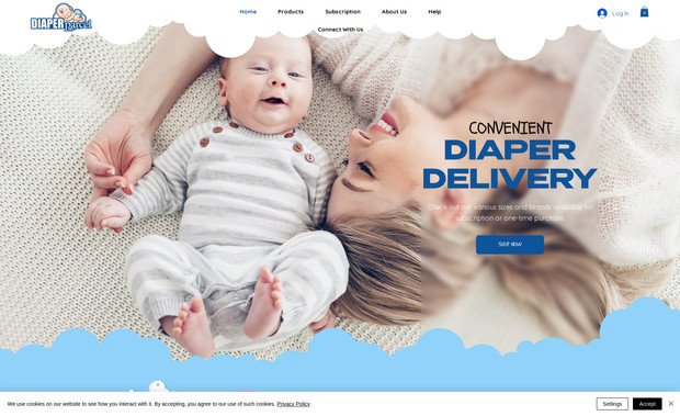 Diaper parcel LLC: redesign