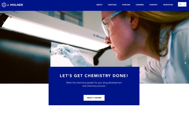 J. Molner: The J. Molner website reflects the elegance and sophistication of a modern European skincare brand specializing in high-quality, prescription-based dermatological solutions. This project involved creating a sleek, minimalist design that enhances the brand's luxurious appeal while maintaining a professional and accessible interface for users.