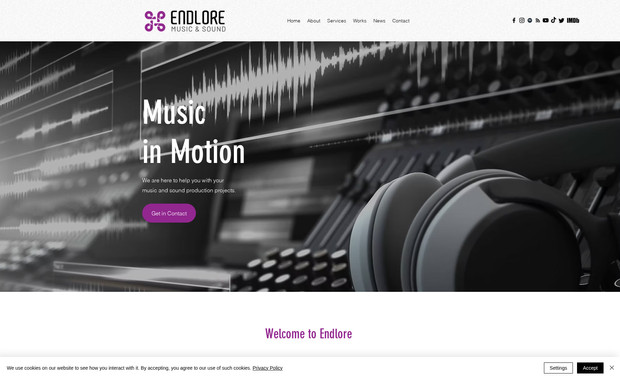 Endlore Music: •	Logo Design
•	6 Page mobile friendly Wix website design 
•	On-site SEO setup checklist ( including URL, title tags and meta descriptions).
•	Blog integration
•	Stock images
•	Connecting the website to Google
