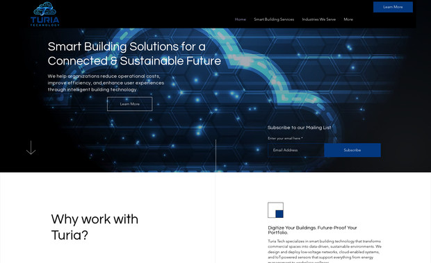 Turia Tech: This advanced website was a pleasure to make. Our client needed a place to showcase their professionalism while letting people know they mean business when it comes to the cloud.