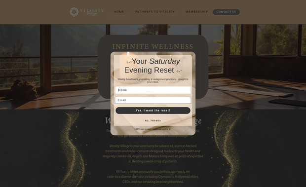 Vitality Village: Elevating Wellness: A Luxe Digital Experience for Vitality Village
When Vitality Village of Westlake Village came to us, they had a clear vision: a website that felt sophisticated, modern, and exclusive—designed for an audience that prioritizes health, fitness, and overall wellness. Their clients are individuals with disposable income who seek the best in holistic health, and their online presence needed to reflect that.

We built a sleek, high-end digital experience, incorporating a dark, slate-black and gray palette with gold sparkles—a nod to both Vitality and transformation. Inspired by DNA symbols, we wove in design elements that subtly reinforce the science behind their offerings.

To create a seamless user experience, we developed individual service pages, making it easy for visitors to explore treatments, understand health benefits, and schedule appointments effortlessly. We also spotlighted their membership program, breaking down the points system, access to yoga and Pilates, and exclusive wellness perks—encouraging long-term engagement.

The result? A website that doesn’t just look elevated—it functions as a powerful tool to attract, educate, and convert wellness-focused clientele.

Because when it comes to branding wellness, the experience matters.