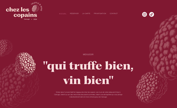Restauration : Chez les copains à Carouge: Restaurant prisé et luxueux dans le domaine de la truffe, création complète du branding à la stratégie marketing digital sans oublier les réseaux sociaux. Ce site à été construit sur le nouveau incroyable CMS de Wix => Wix Studio !