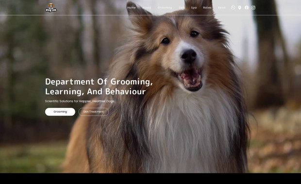 Dog Lab: A fully custom-designed and built Wix Studio website for a dog grooming and spa business in Singapore. The overall styling for the website was to match the store’s interior design style and their branding guidelines. The website uses reveal animations and custom CSS to enhance the website’s design and interactiveness. The website is also integrated with the Wix CMS.
