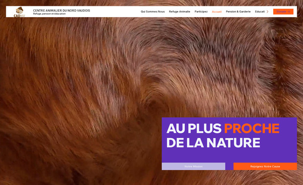 CADNV-NEW: Check Out Our Work & Decide for Yourself!

We craft modern, responsive, and high-performing websites that leave a lasting impression. See our past projects and discover how we can bring your vision to life!

🚀 Custom Design | SEO-Optimized | Mobile-Friendly